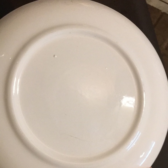 Vintage Minnesota Tourist Souvenir Collectible Ceramic Plate For Display Decor - Picture 14 of 16